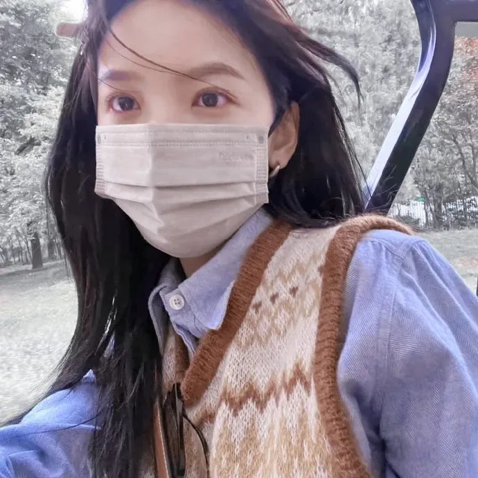 雪地灵犬2：寻根记 封面
