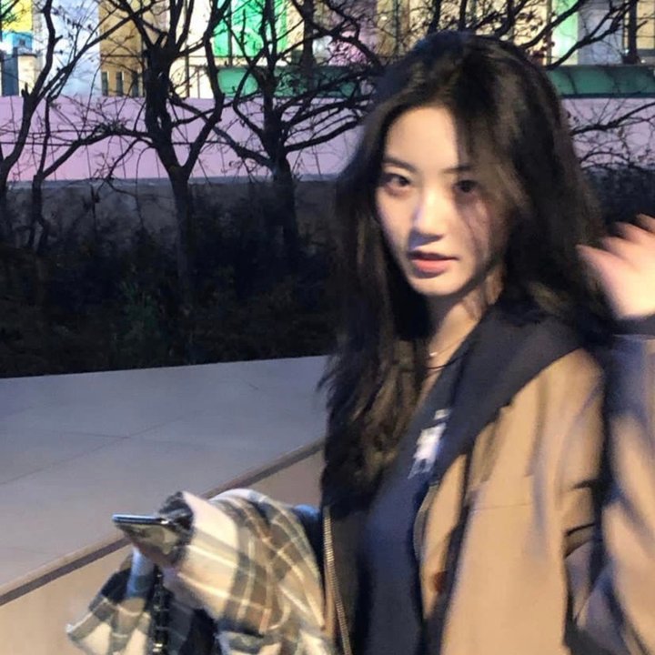 龙公主的冒险 封面